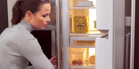 Appliance Repair Pros: How Often Does Your Fridge Filter Need Replacing?