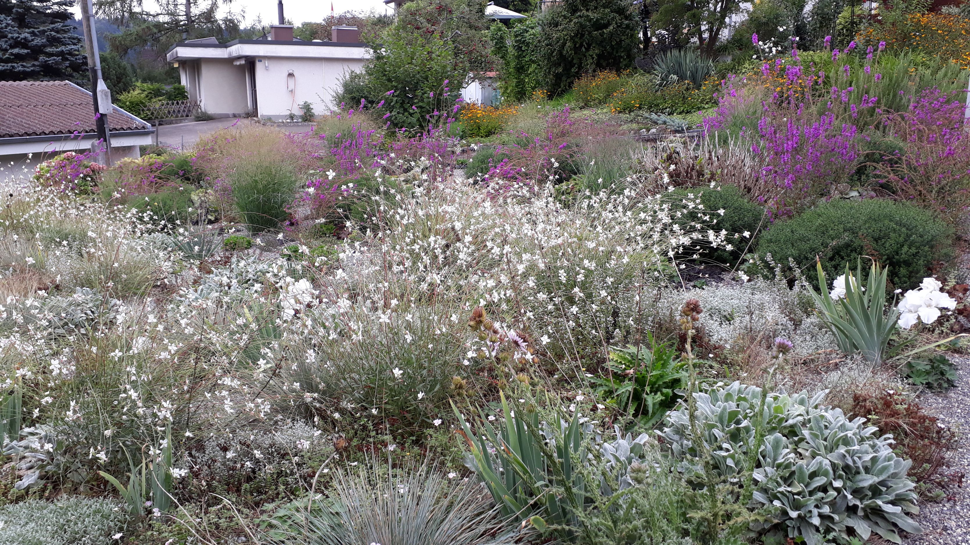 Bilder Signer Gartenpflege