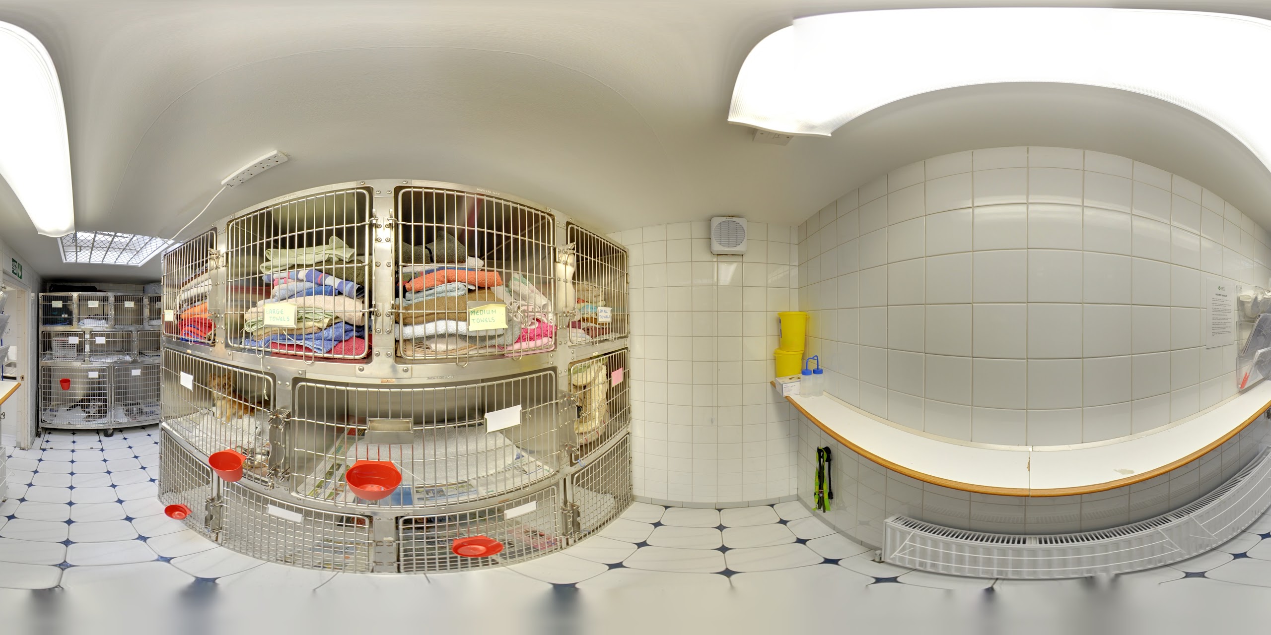 Images Streatham Hill Veterinary Surgery
