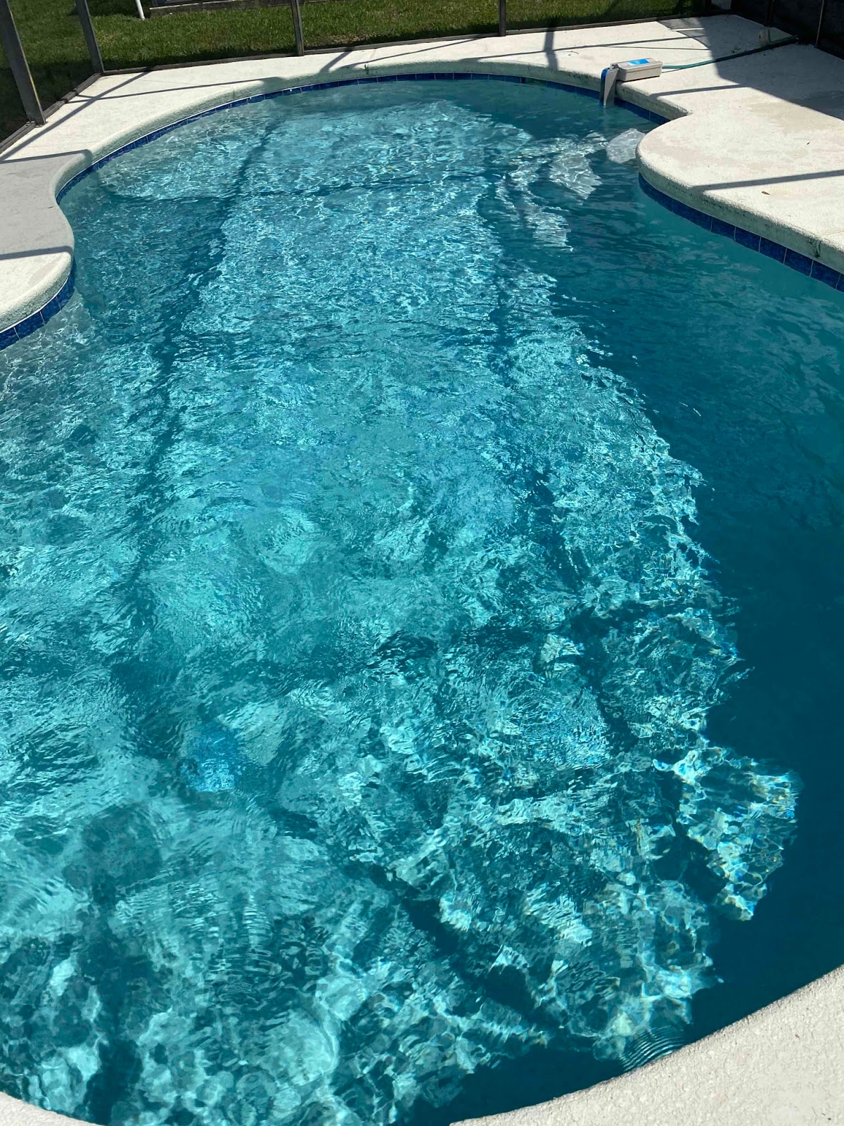 Freeform residential swimming pool with sparkling blue water, curved edges, and light-colored stone coping.