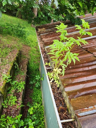 Images NJM Roof & Gutter Cleaning