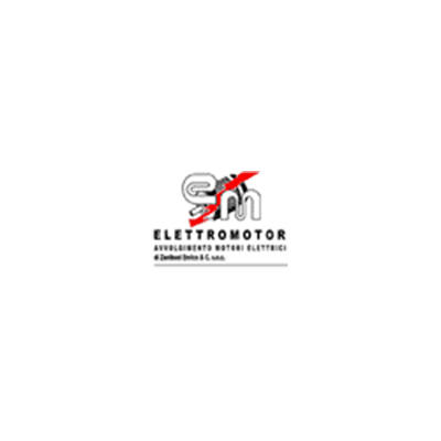 Elettromotor Logo