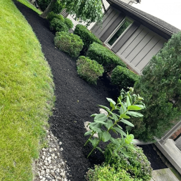 Images Anderson's Total Lawn Care