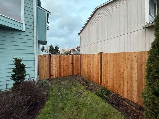 Images Tidy Beaver Fencing - Fence and Gate Contractor