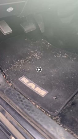 Images Refresh Mobile Car Detailing LLC