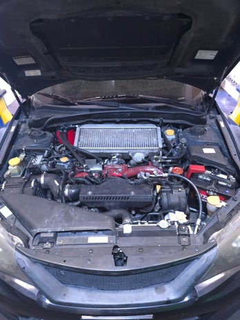Images Subaru Specialist of Colorado