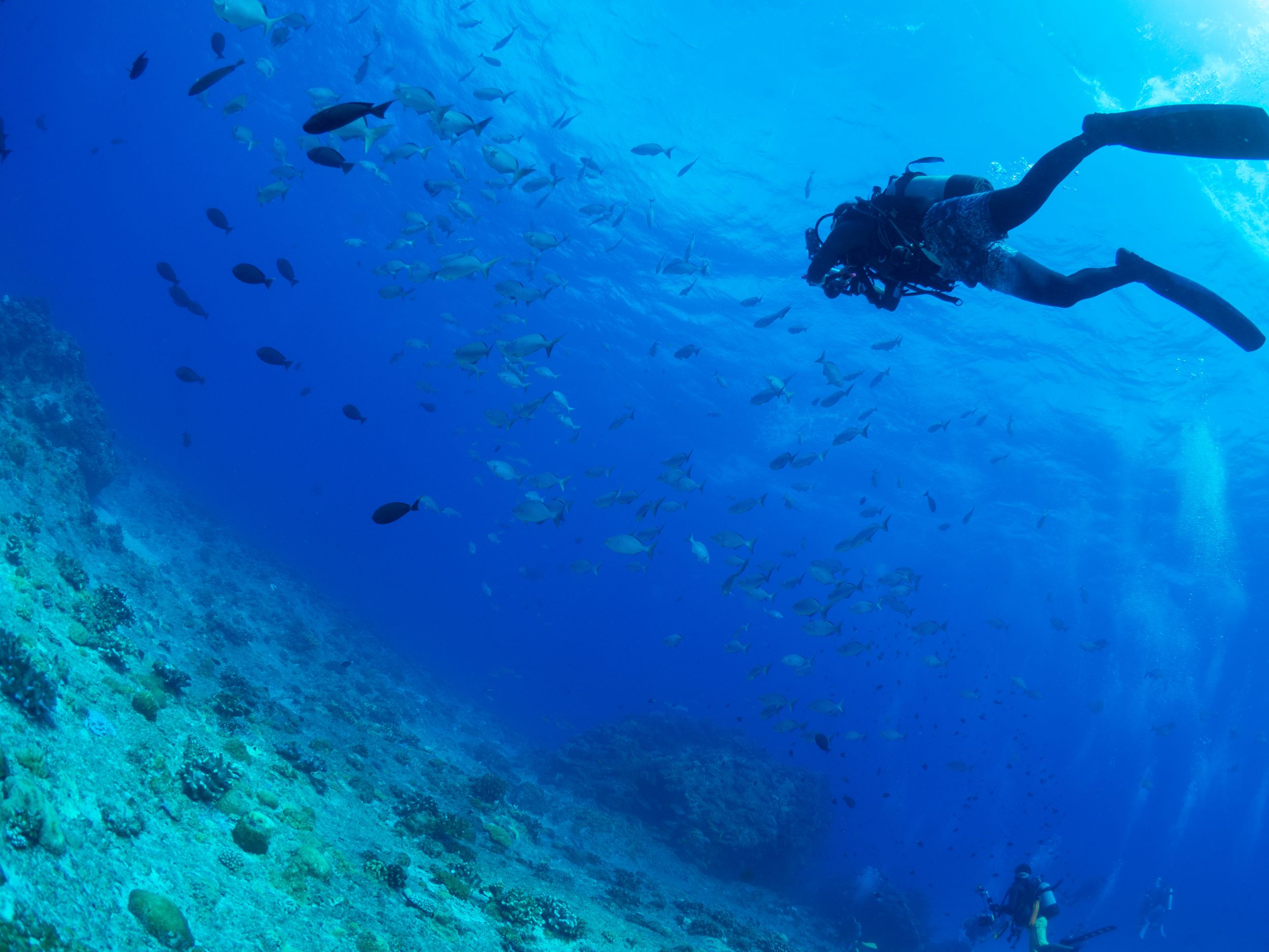 Perelingua-Sprachreisen, Rheinstraße 29 in Berlin