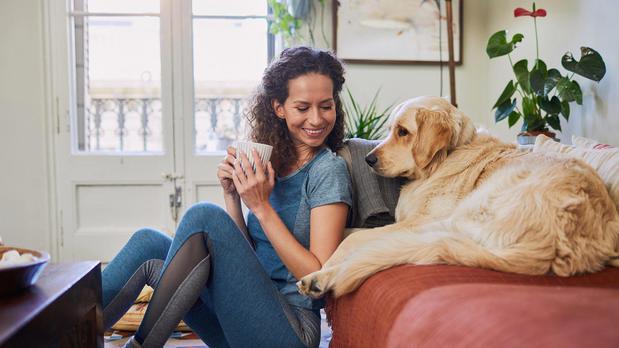 Images Staybridge Suites San Antonio Sea World by IHG