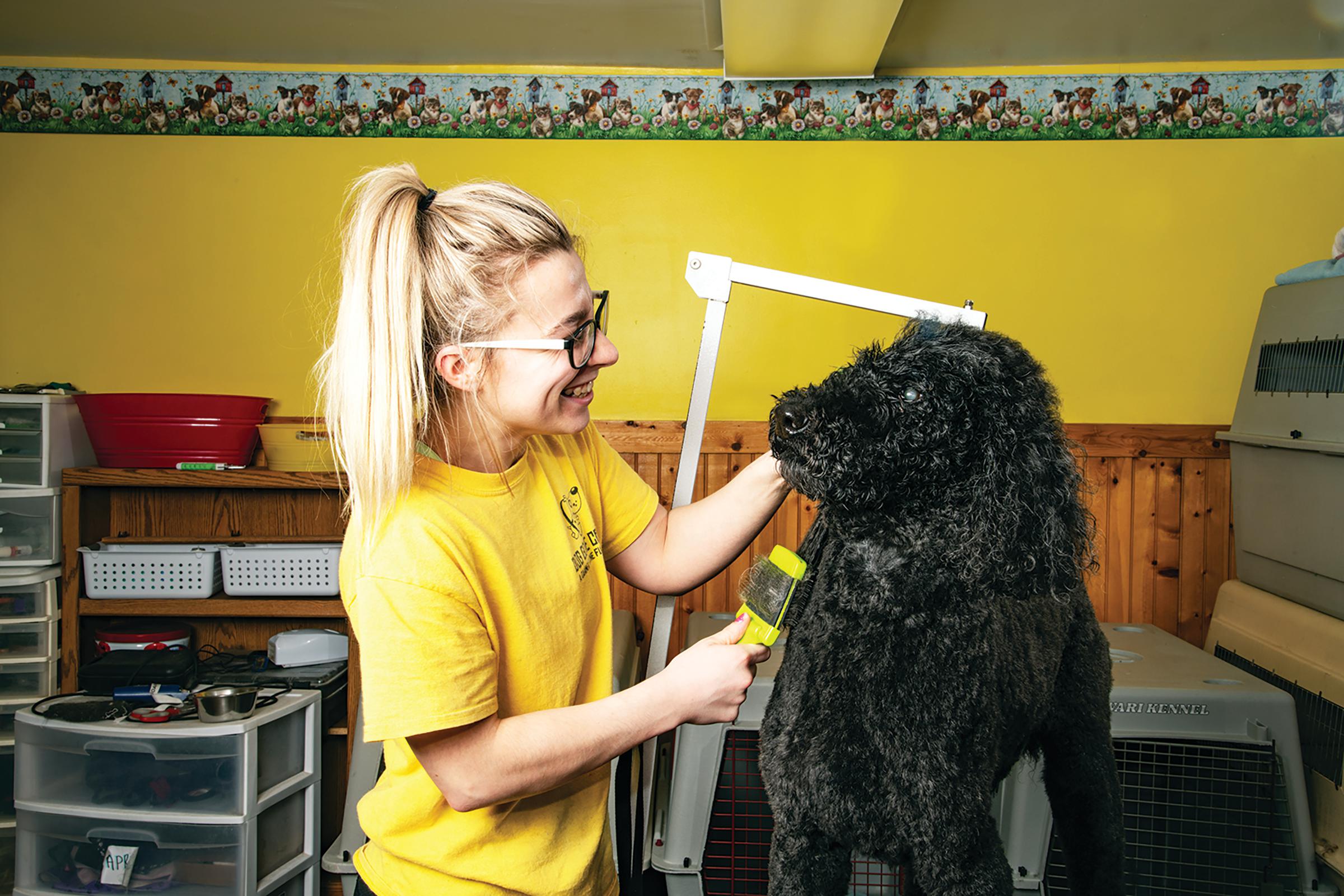 Dog Gone Crazy Kennels Photo