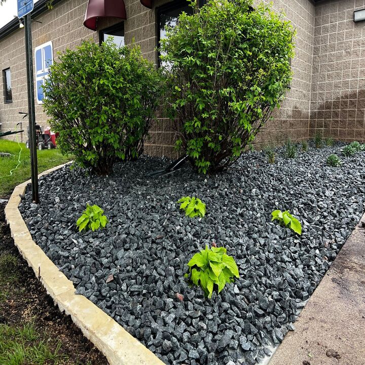 Images Raptor Turf Landscaping