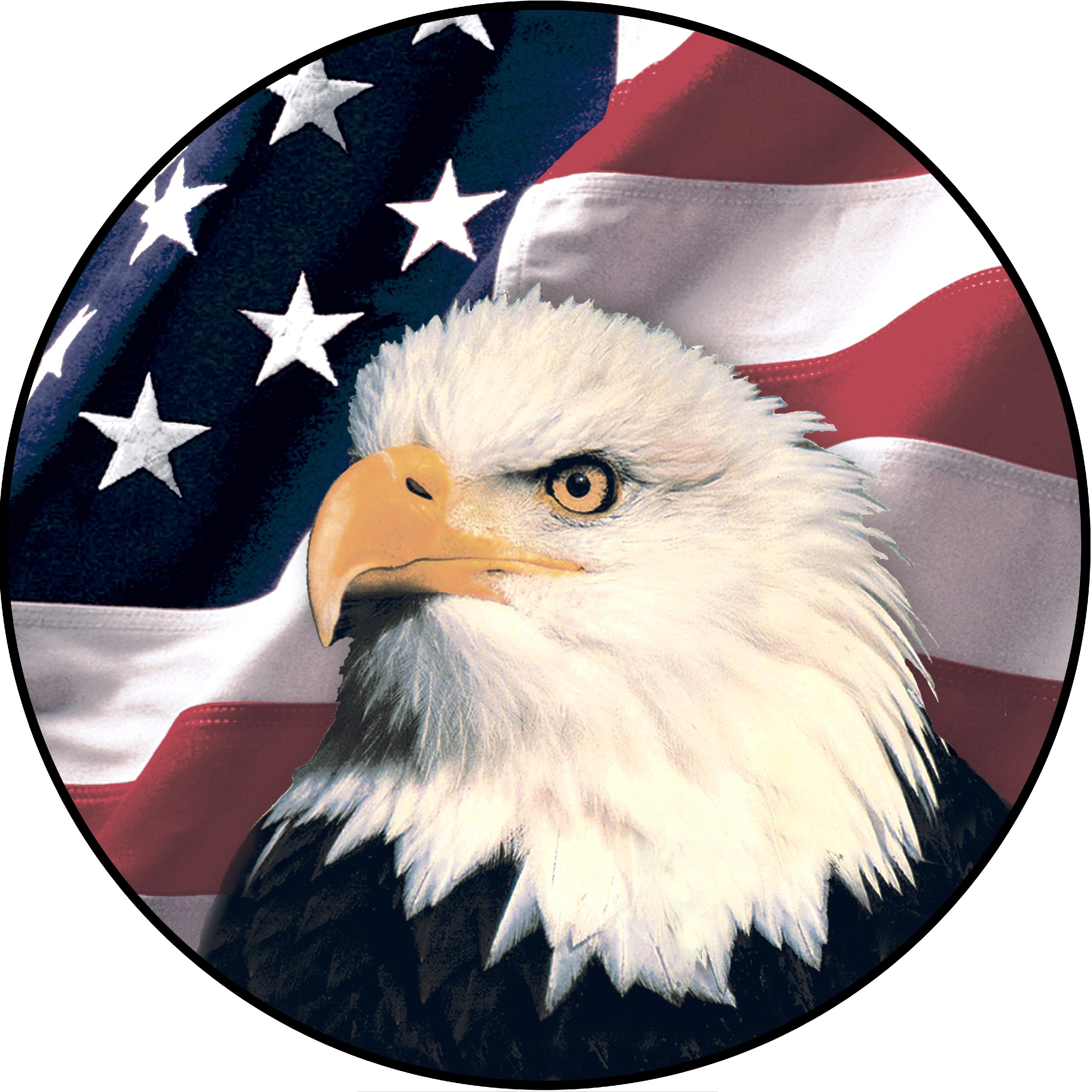 American Eagle Tree Service