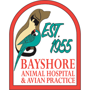 Bayshore Animal Hospital & Avian Practice