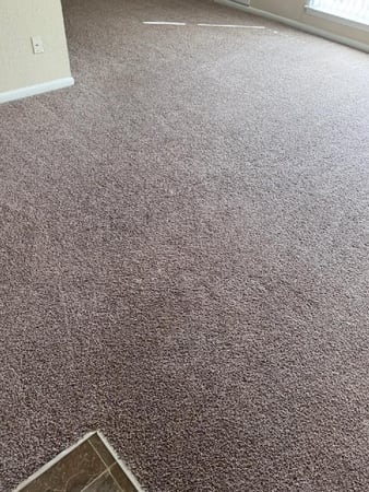 Images East Coast Carpet Care, Inc