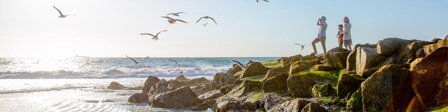 Family at the ocean with seagulls