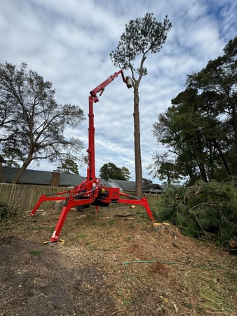 Images Magana Tree Service
