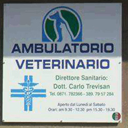 Ambulatorio Veterinario Trevisan Dr. Carlo Logo