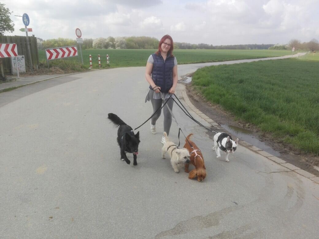 Bilder Hundezentrum Lapki