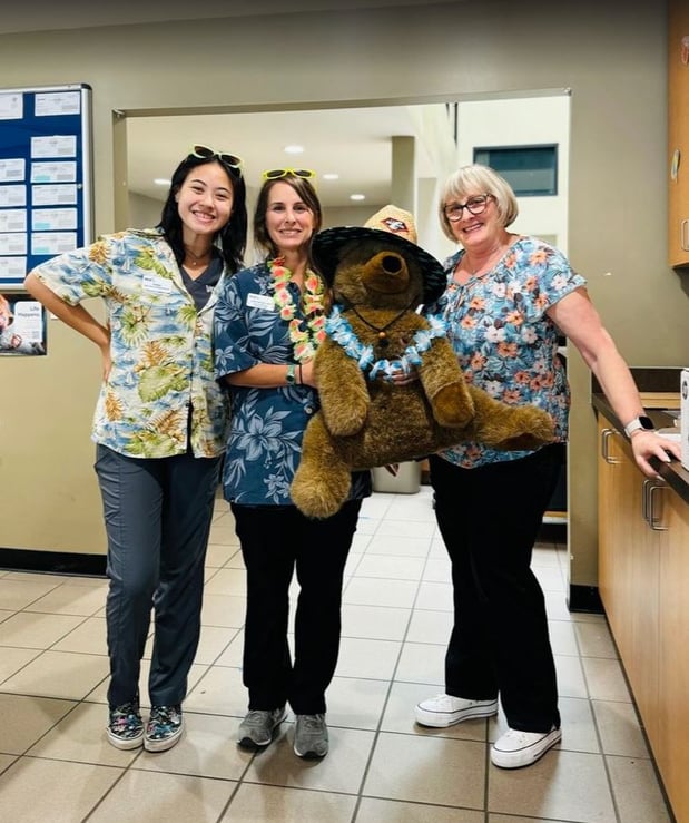 Images VCA Laguna Niguel Animal Hospital