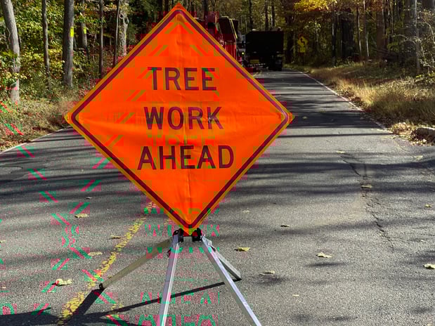 Images Justin Tree Services & Lawn Care