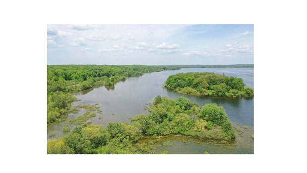 Images Bird High View