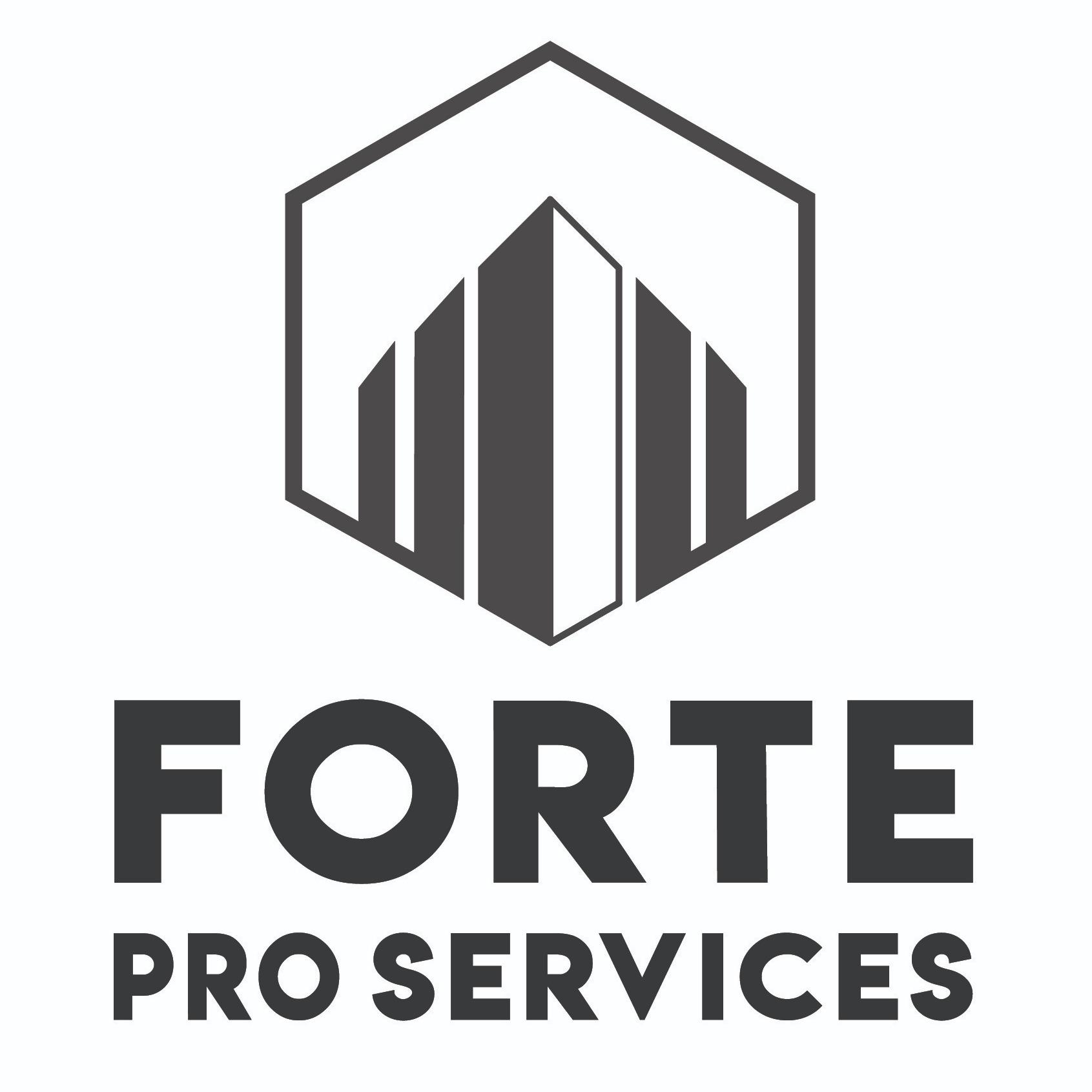 Forte Power Washing Logo