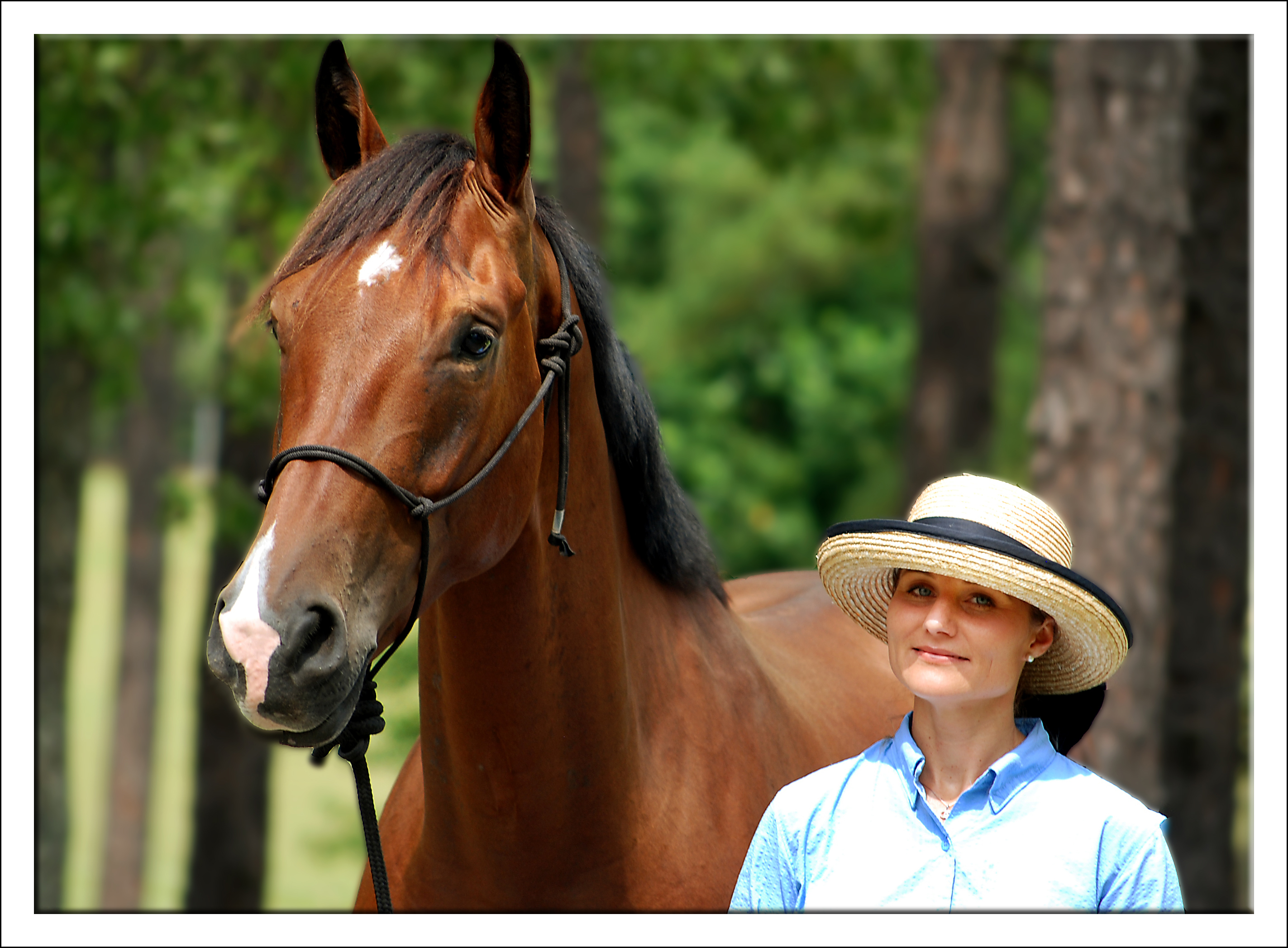 Victory Land Dressage