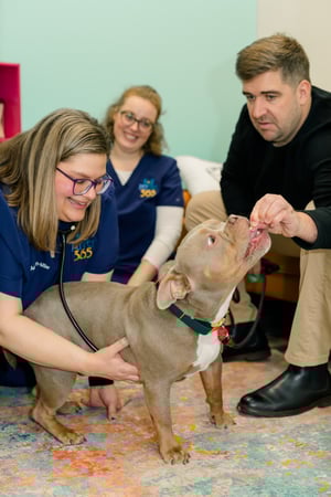 Images PetVet365 Pet Hospital Pittsburgh / South Hills