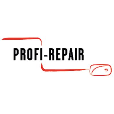 profi-repair in Buckenhof - Logo