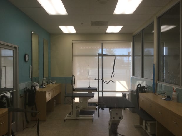 Images Petco Grooming
