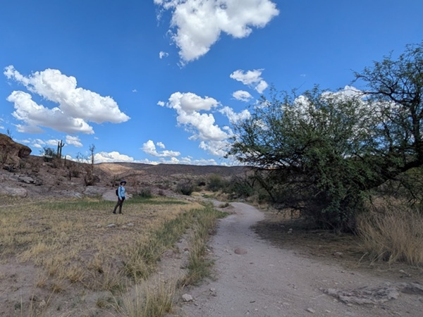Invisible Fence® installation in progress in Maricopa County