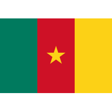 Mission permanente de la République du Cameroun Logo
