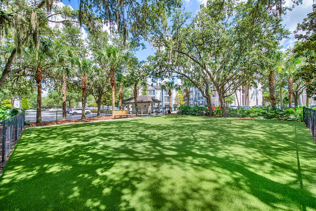 Images MAA Tampa Oaks