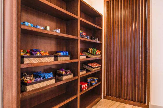 Images Holiday Inn Express & Suites Tampa North - Wesley Chapel by IHG