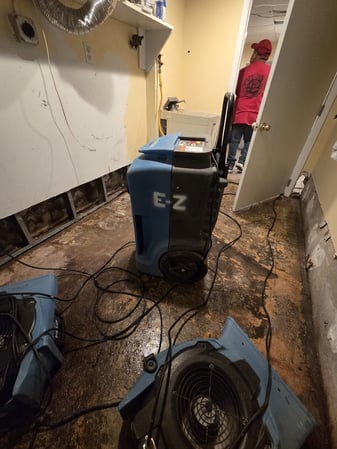 Images EZ Mitigation