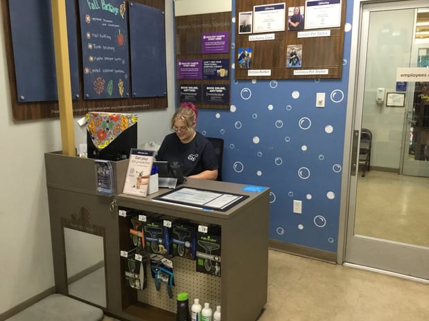 Images Petco Grooming