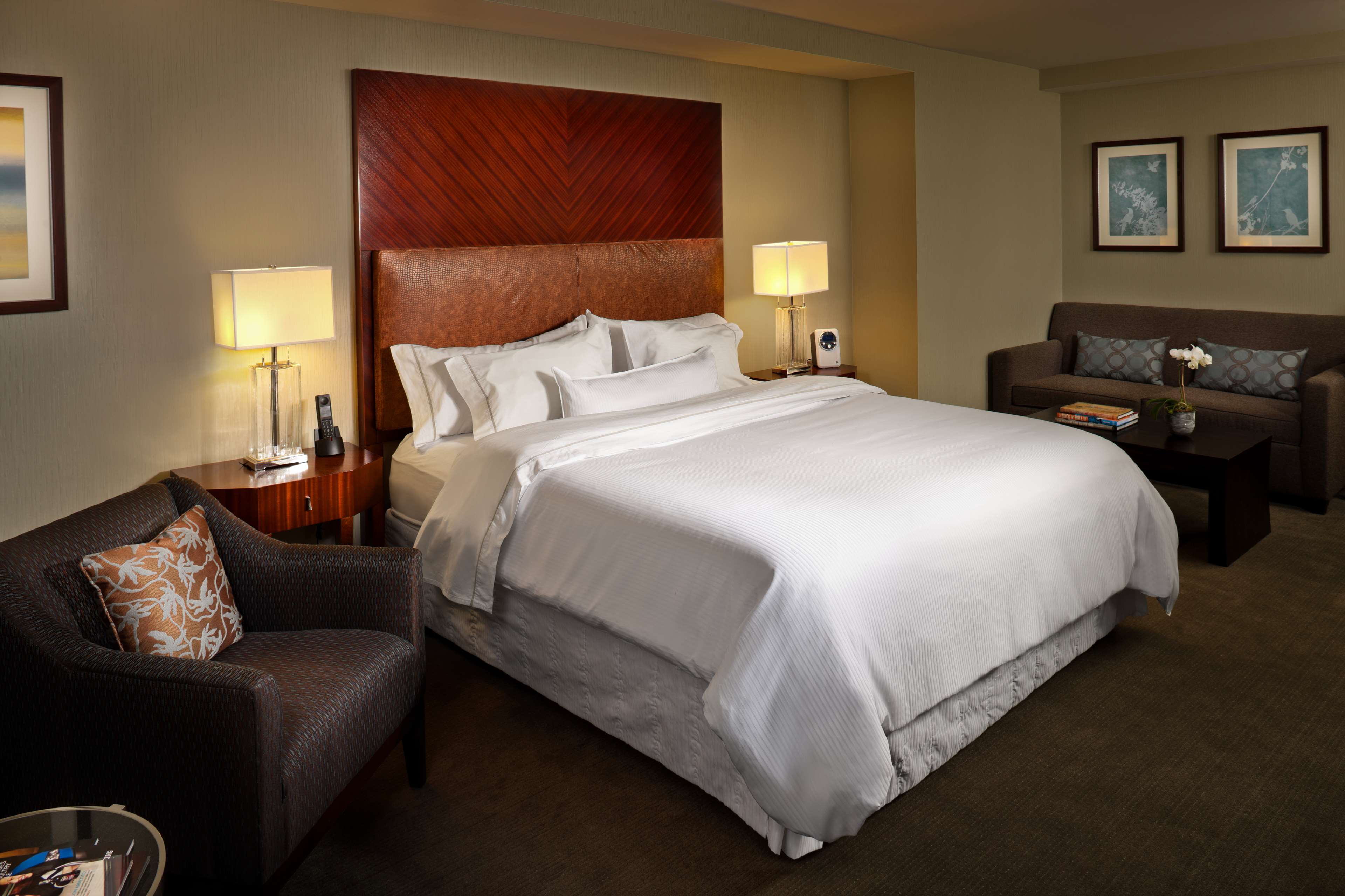 Premium Guest Room
