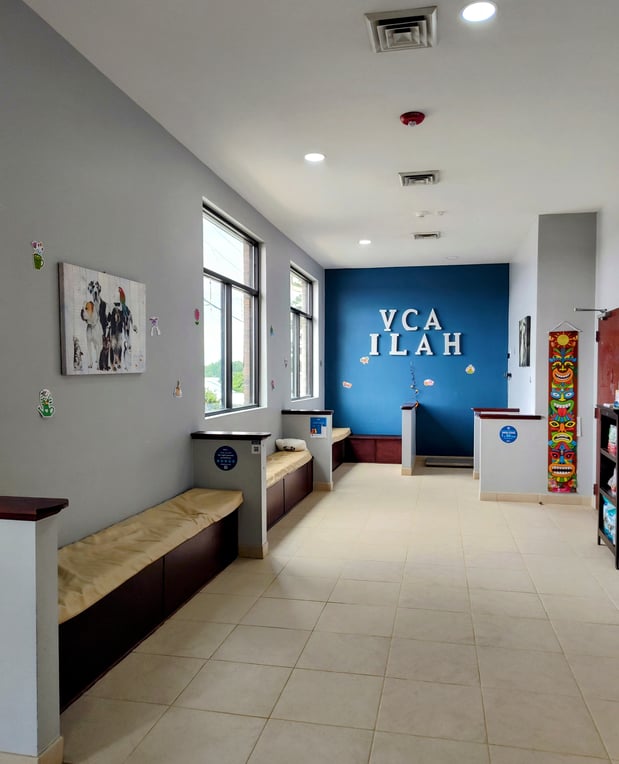 Images VCA Indian Land Animal Hospital
