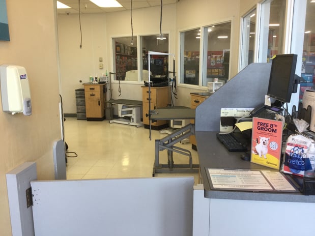 Images Petco Grooming