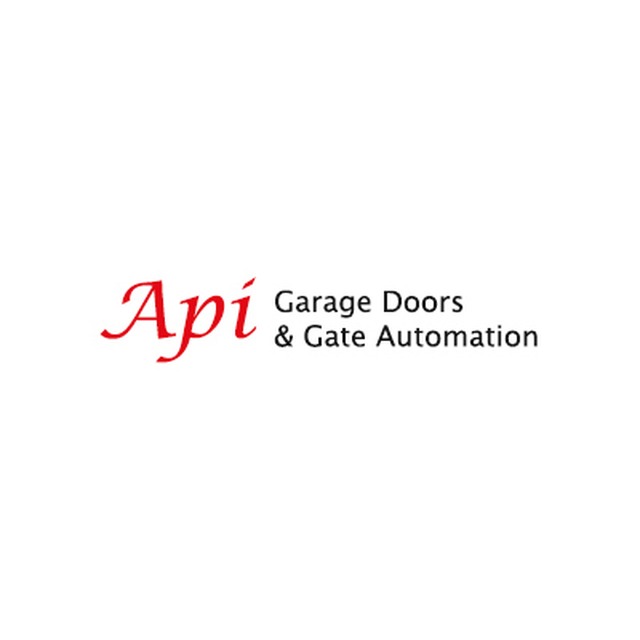 APi Logo