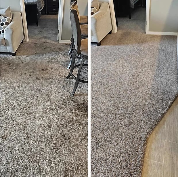 Images Aqua Green Carpet Clean LLC