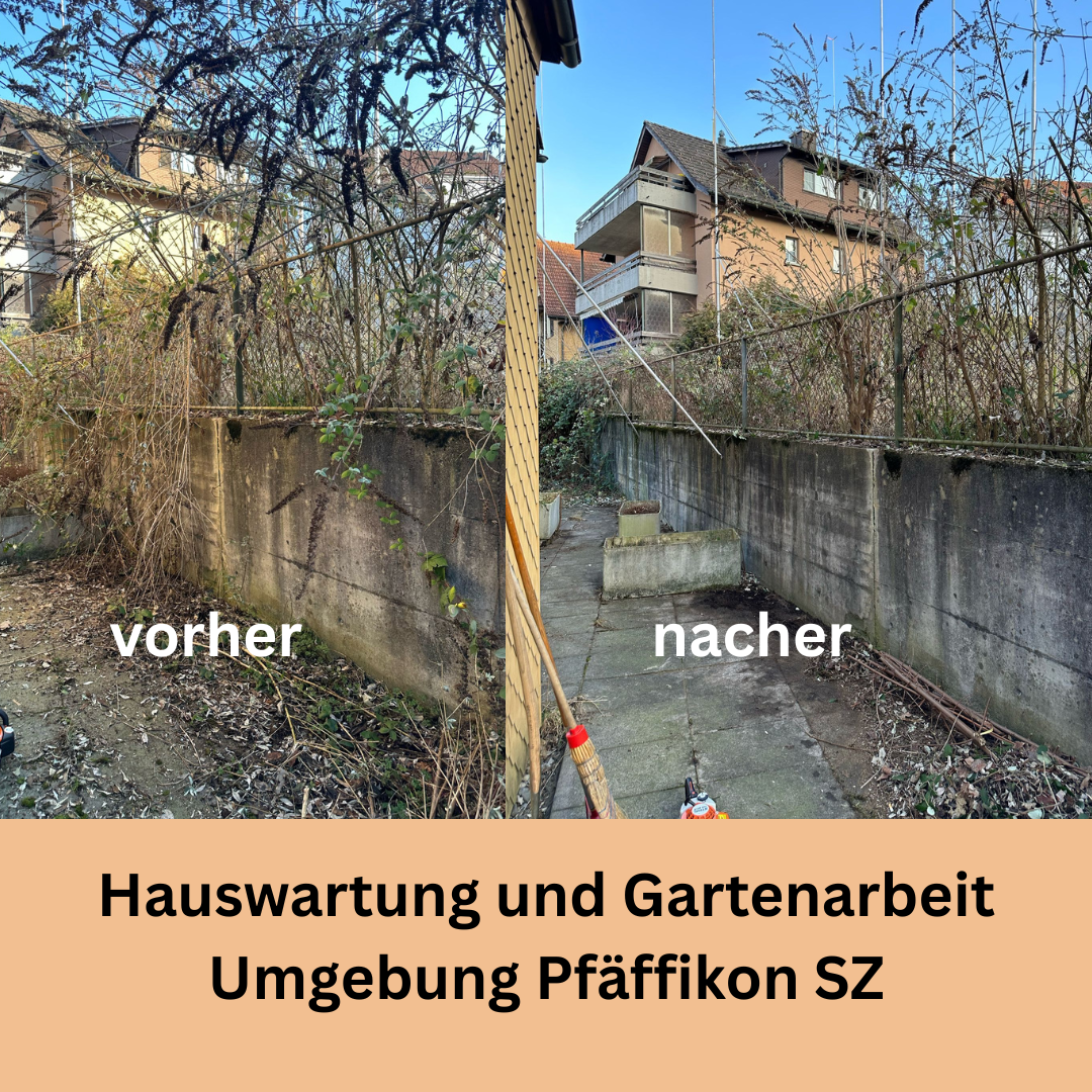 Bilder Sopa Reinigung