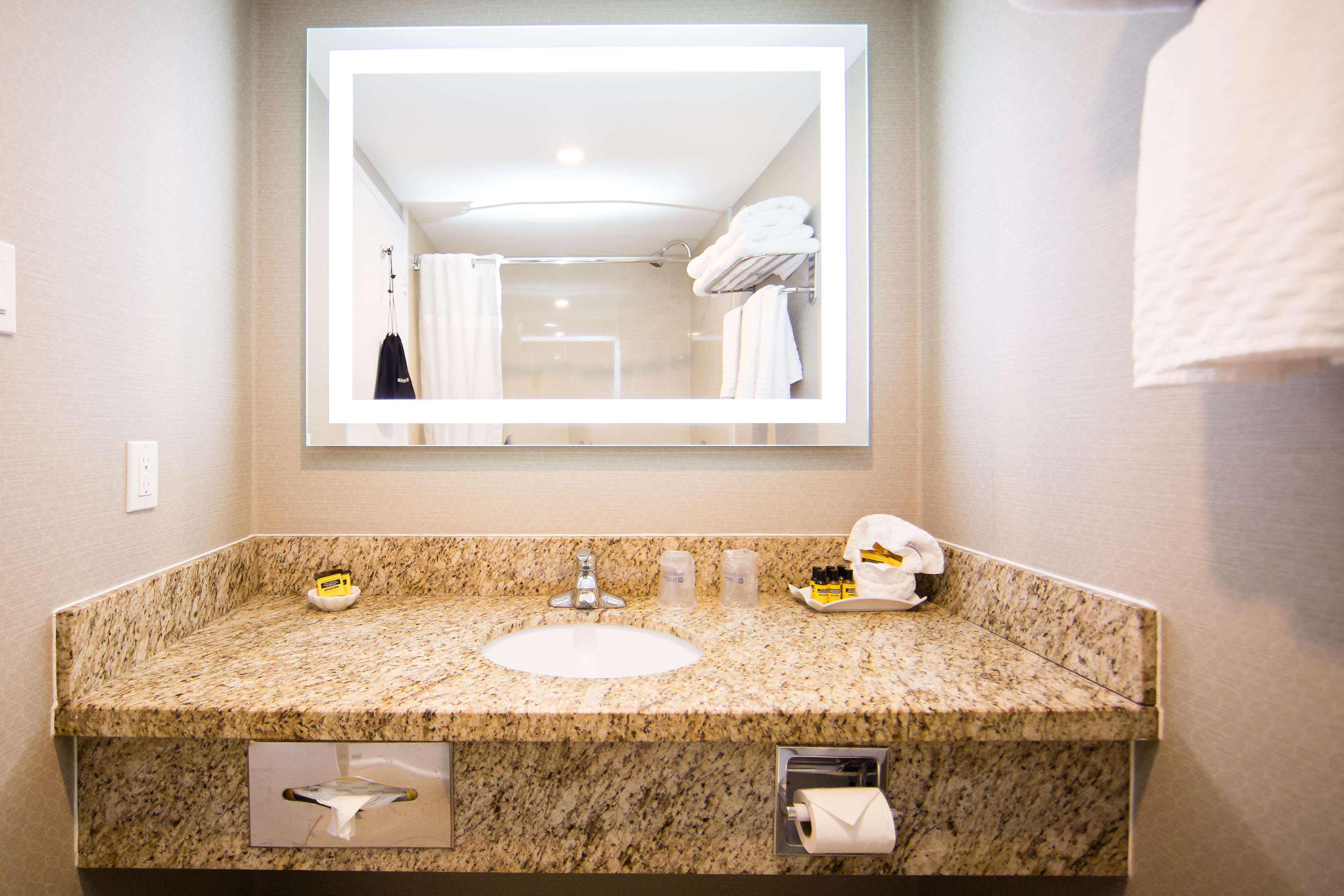 Standard Bathroom Best Western Plus Ottawa Kanata Hotel & Conference Centre Ottawa (613)828-2741