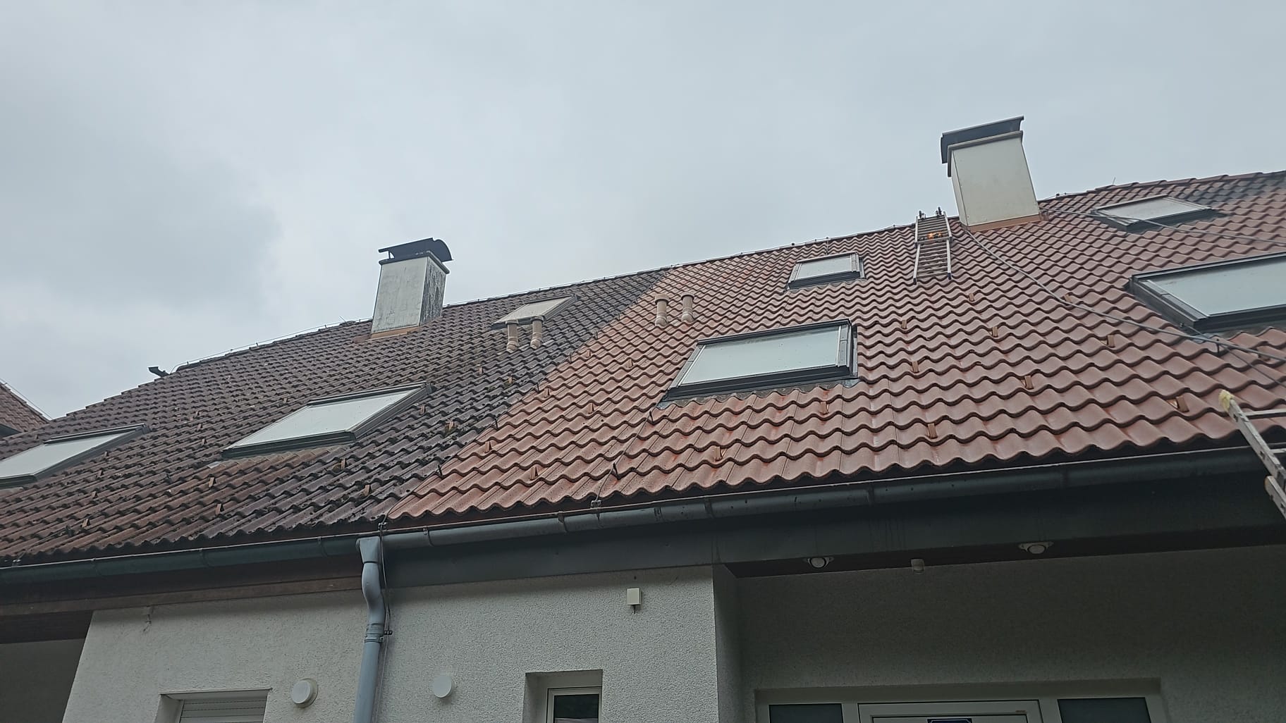 Bild 6 von Dachreinigung und Steinreinigung Cleanwerk24 GmbH
