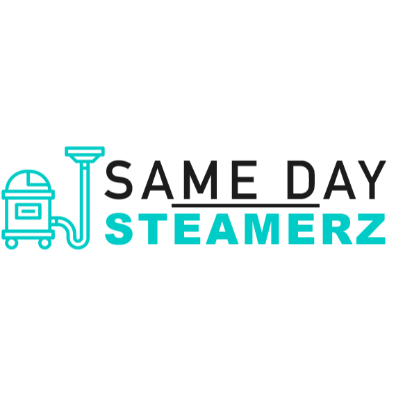 Same Day Steamerz Logo