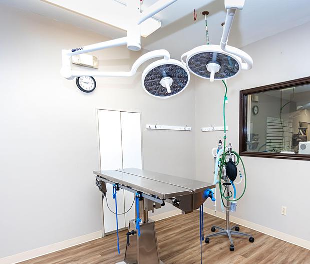 Images VCA Henderson Pass Animal Hospital