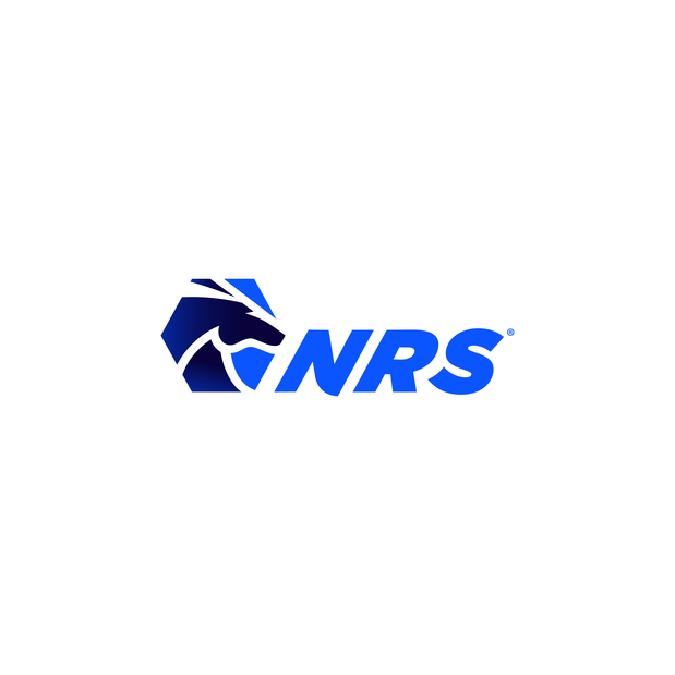 NRS, Inc Logo