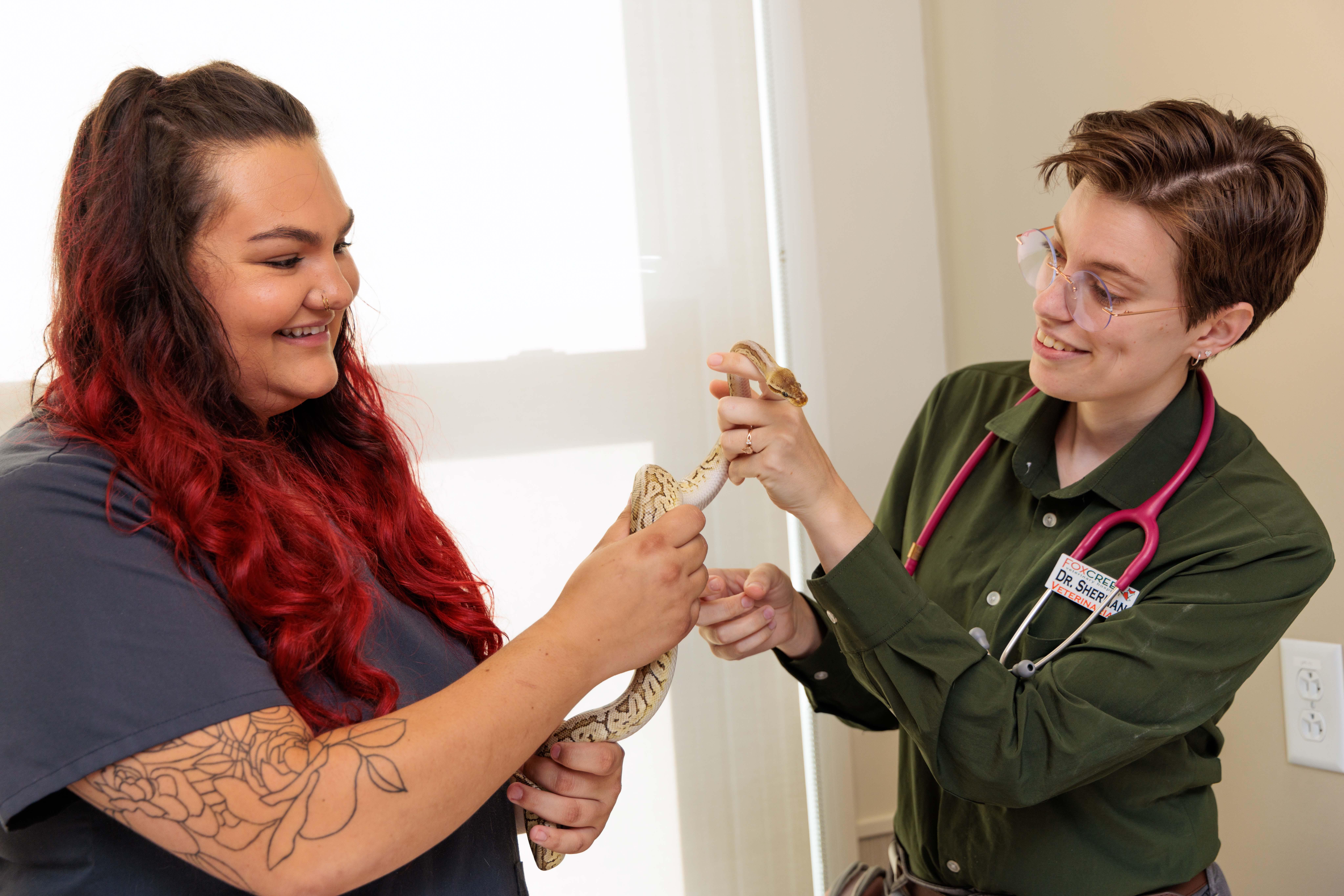 Have a snake? We're here to provide them veterinary care!