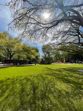 Images Waterloo Turf Austin
