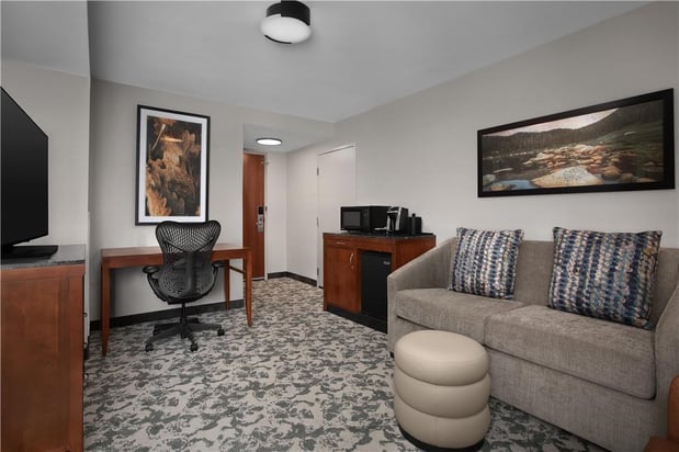 Images Hilton Garden Inn Denver Downtown