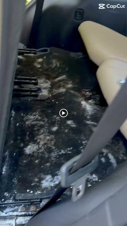 Images Lonestar Pro Detail